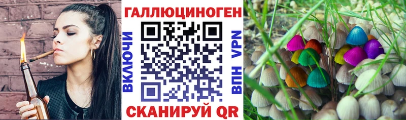 Галлюциногенные грибы Cubensis  Буйнакск 